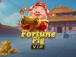 Fortune Pig VIP